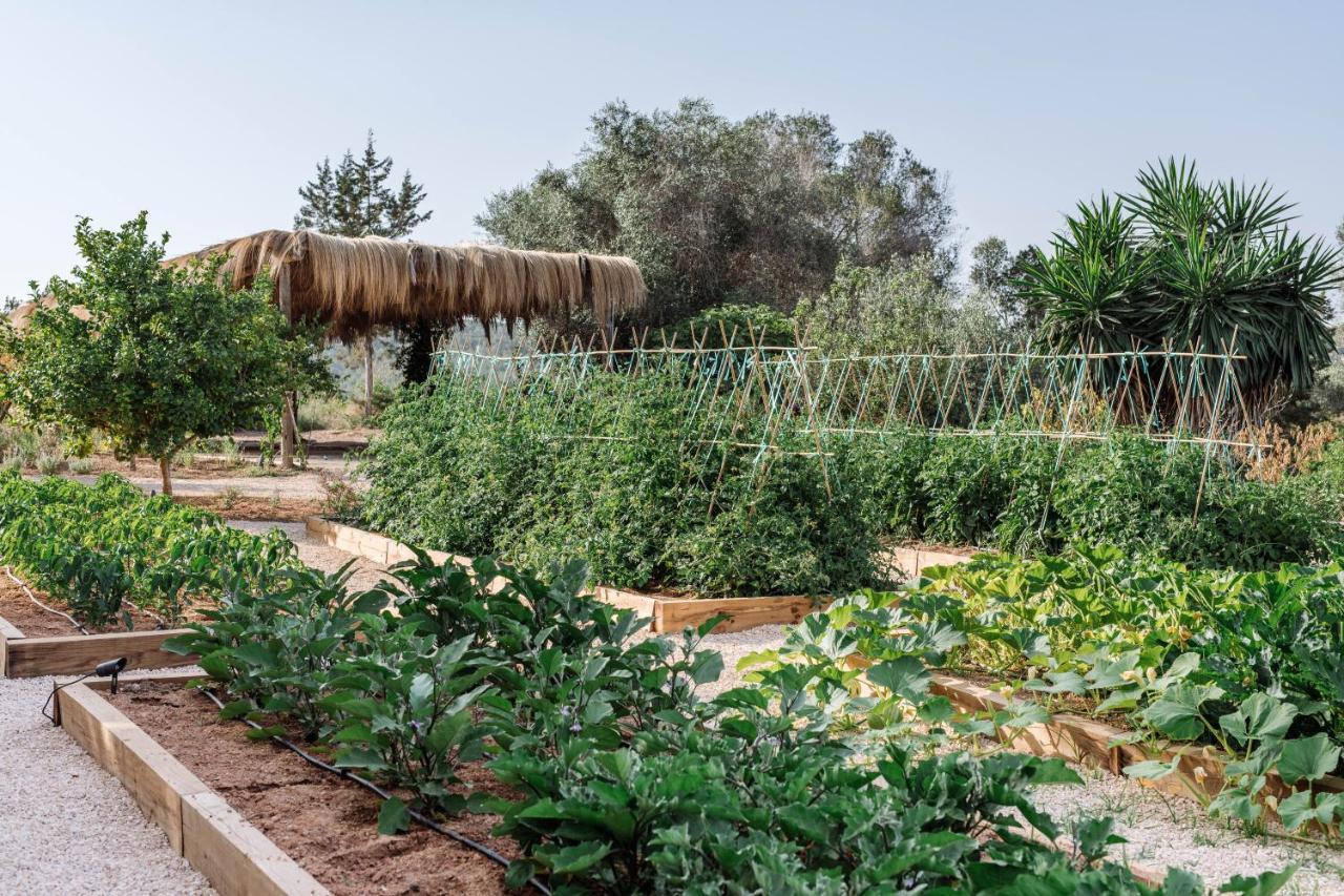 Agroturismo Can Domo Santa Eularia des Riu Ngoại thất bức ảnh